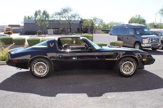 1979 Pontiac Firebird Trans Am Special Edition Y84 WS6 - photo 6