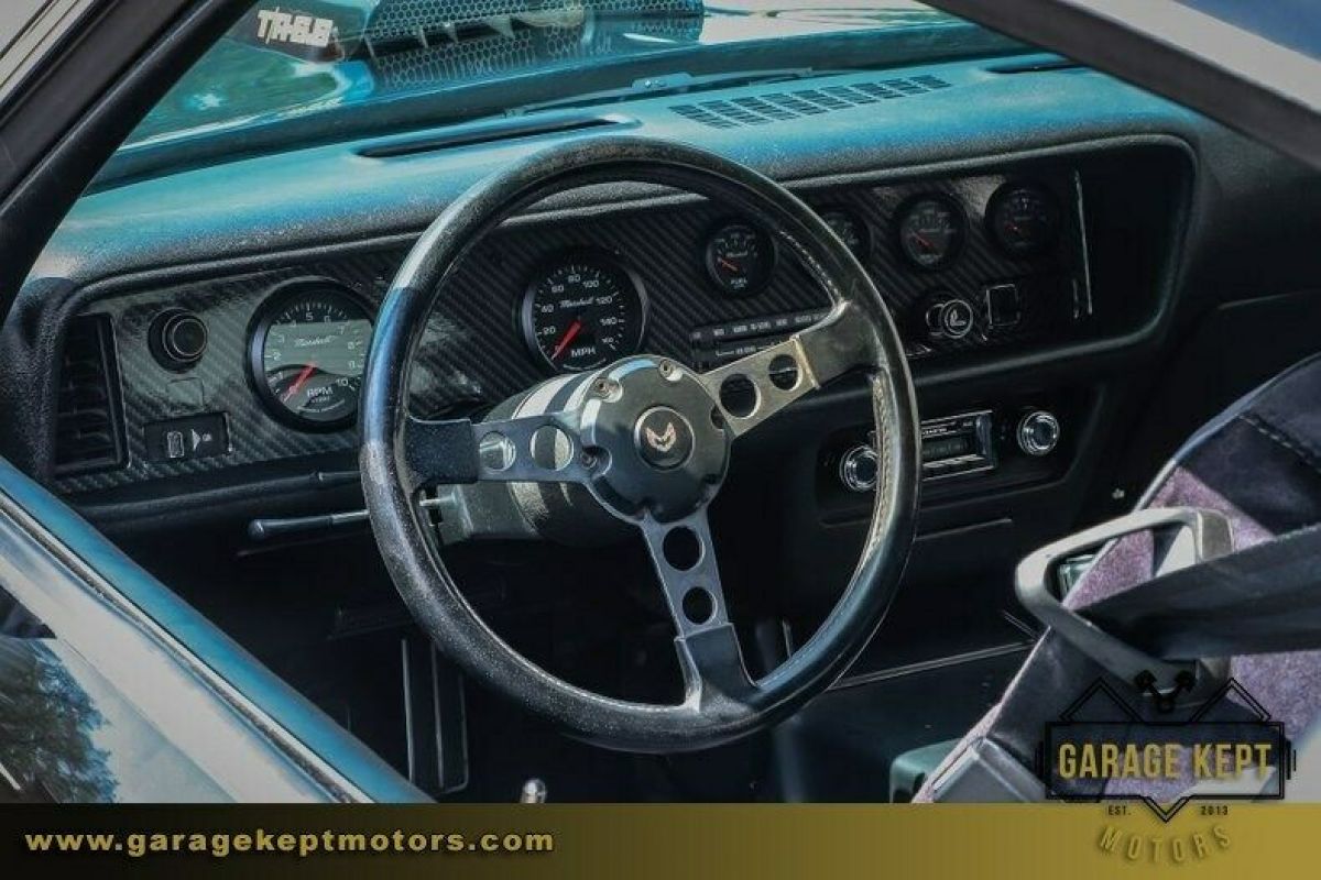 1979 Pontiac Firebird Trans Am - photo 6