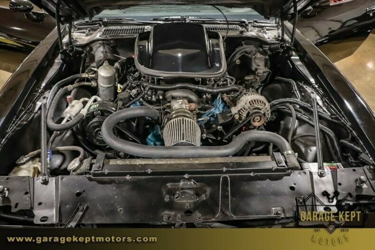 1979 Pontiac Firebird Trans Am - photo 9