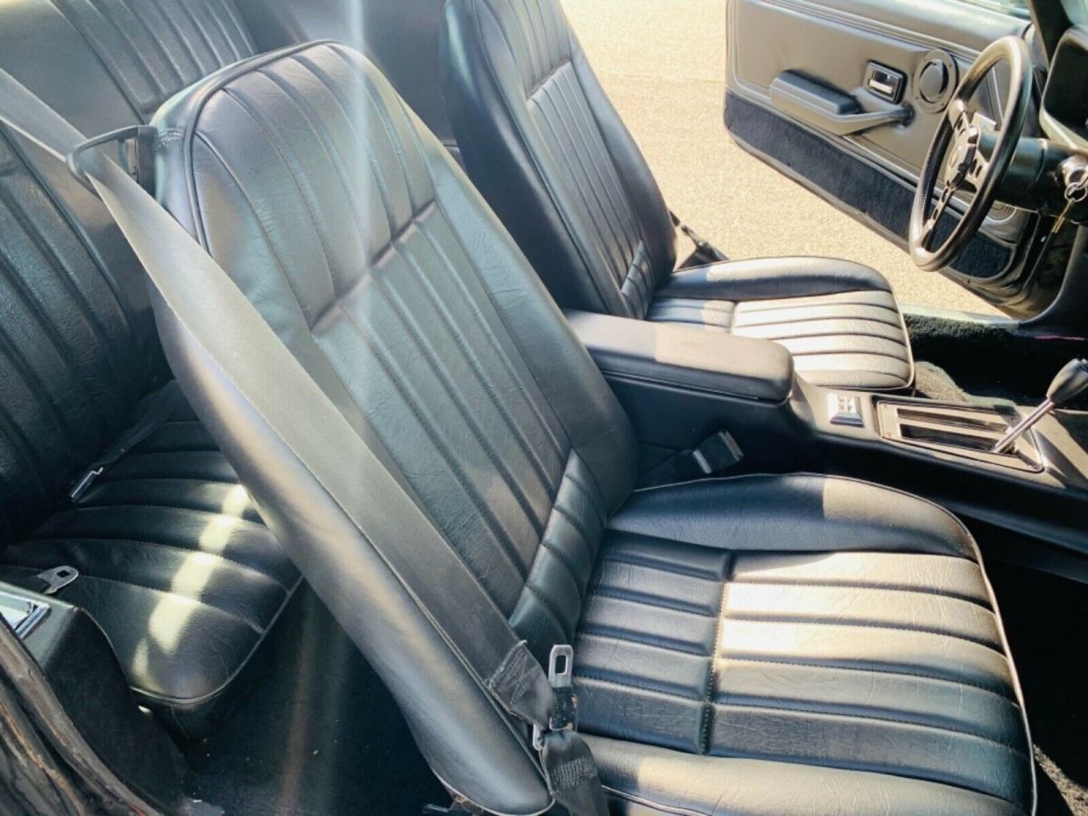 1979 Pontiac Firebird - photo 12
