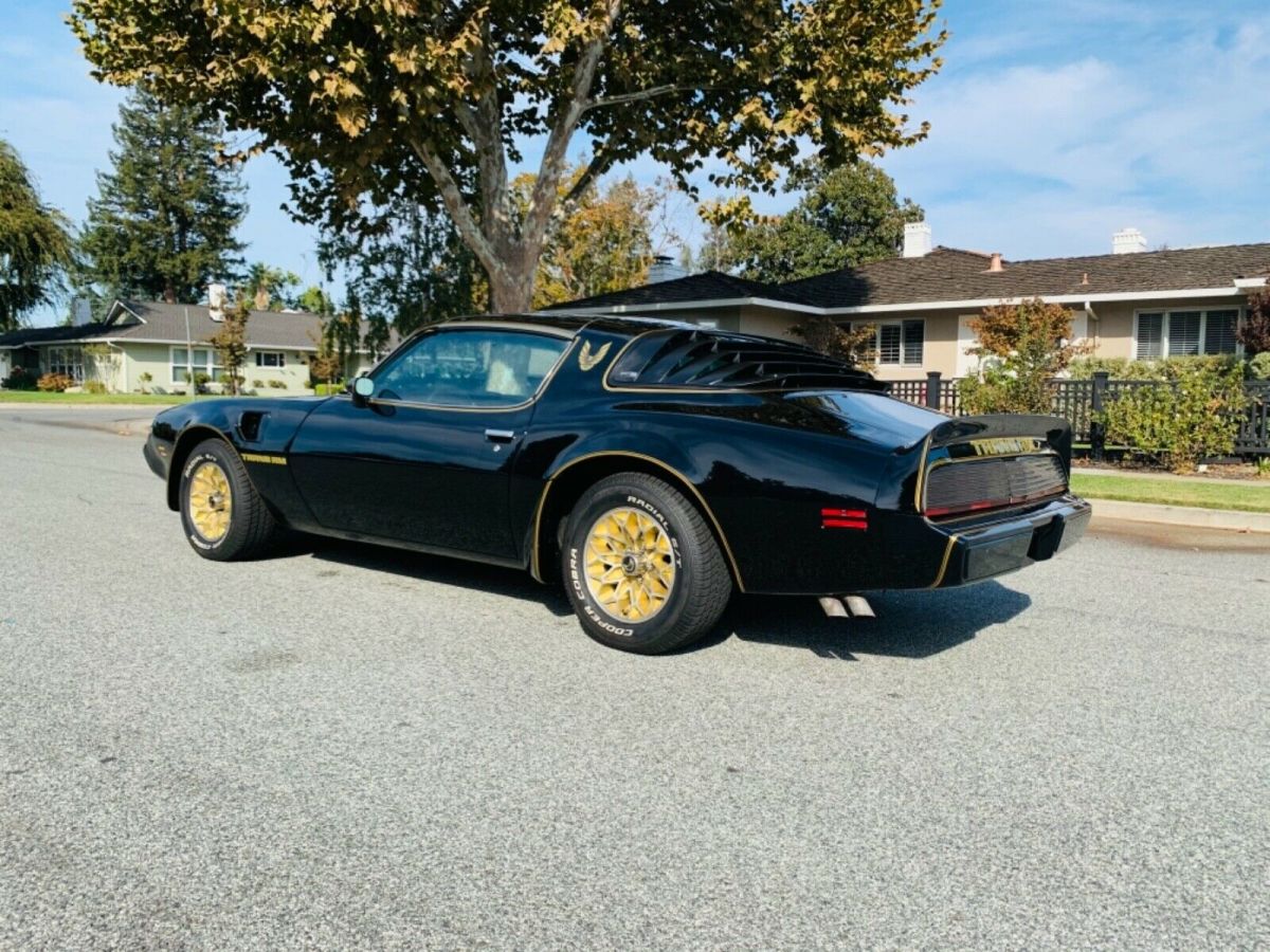 1979 Pontiac Firebird - photo 4