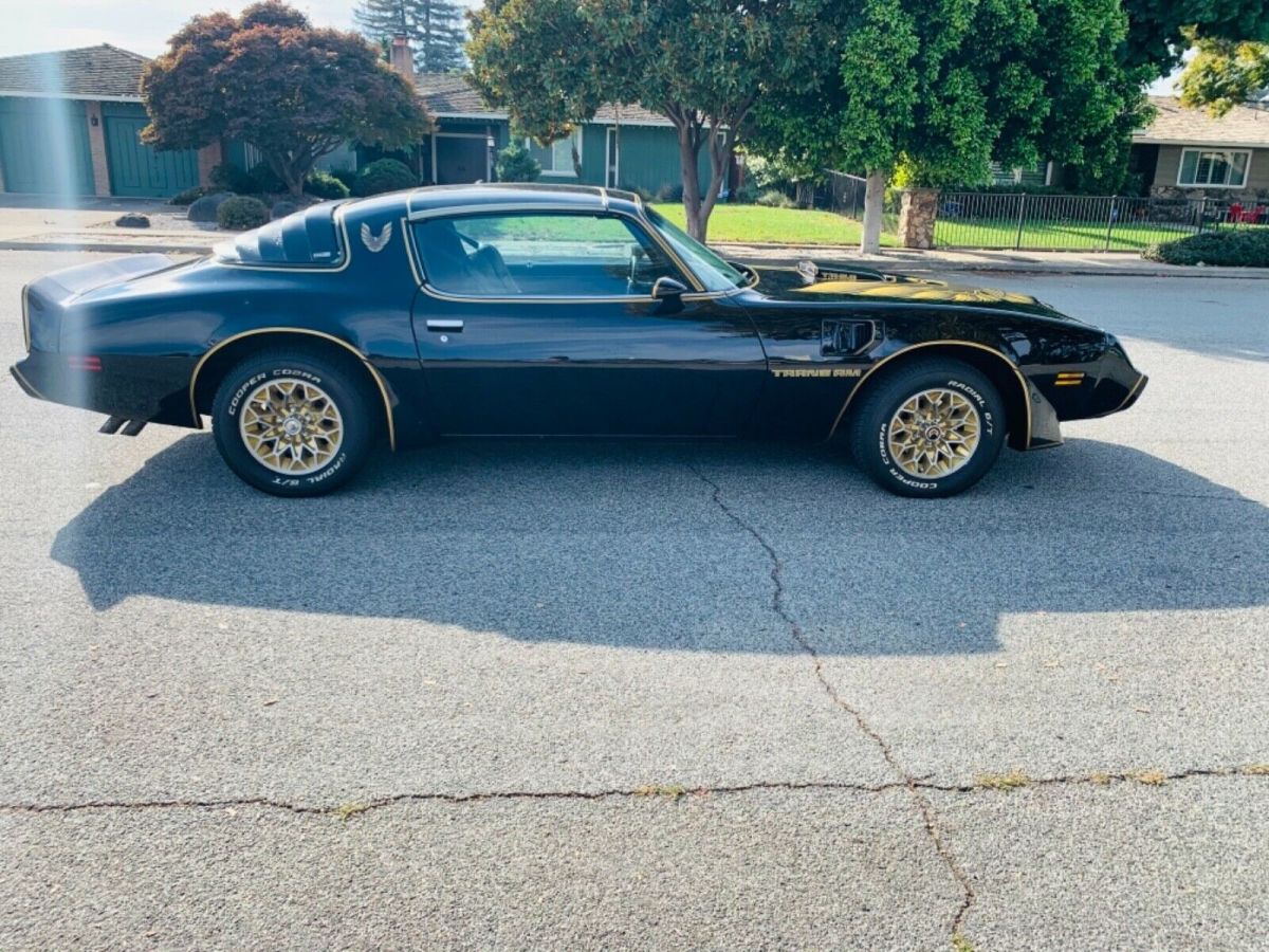 1979 Pontiac Firebird - photo 7