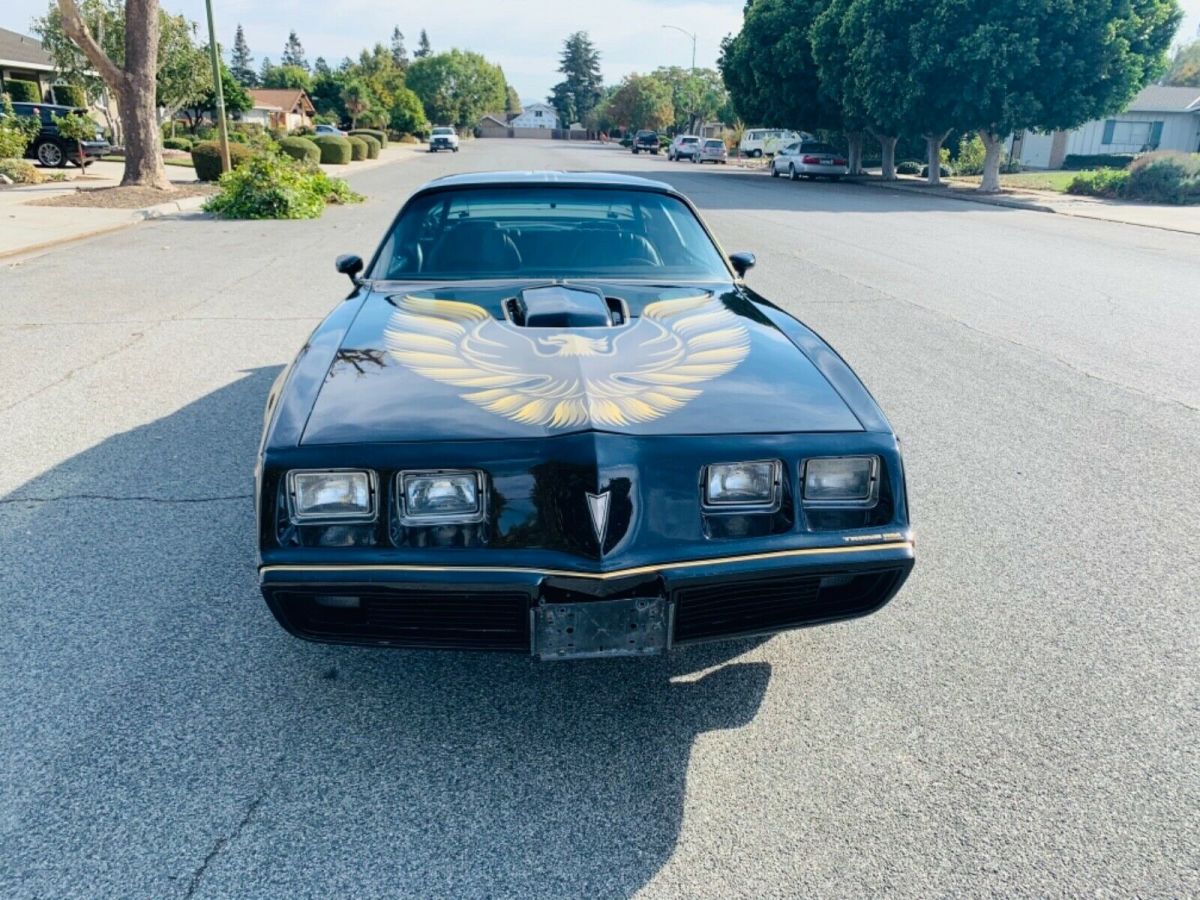 1979 Pontiac Firebird - photo 8