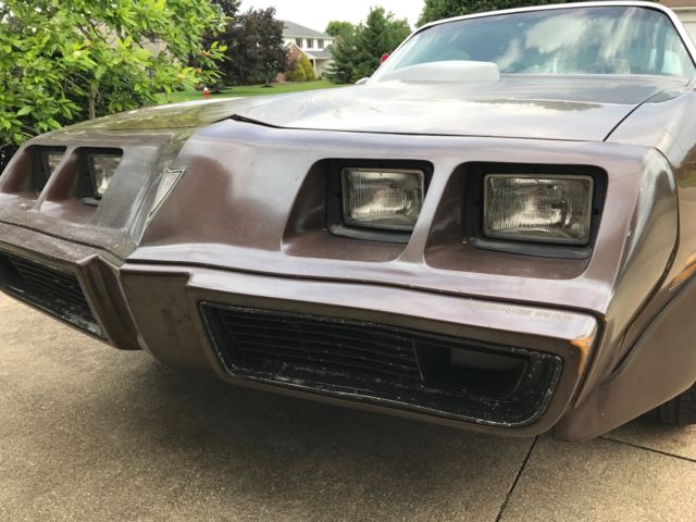 1979 Pontiac Firebird Trans Am - photo 8