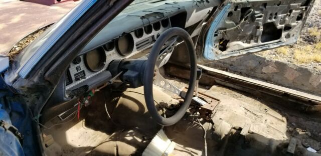 1979 Pontiac Firebird WS6 - photo 9