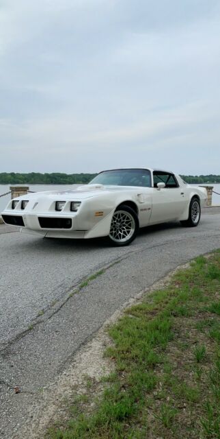 1979 Pontiac Trans Am - photo 2