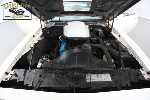 1979 Pontiac Trans Am T-Tops - photo 12