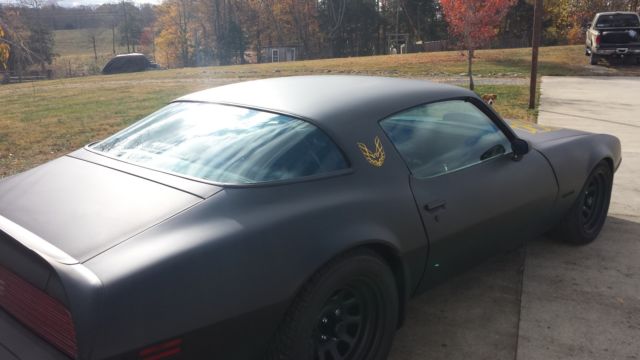 1979 Pontiac Firebird Firebird - photo 2