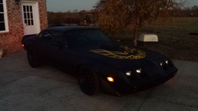 1979 Pontiac Firebird Firebird - photo 5