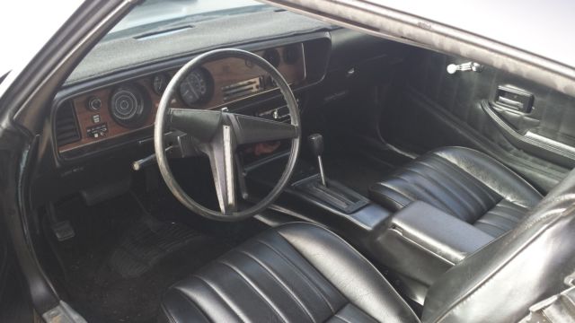 1979 Pontiac Firebird Firebird - photo 6