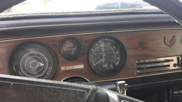 1979 Pontiac Firebird Firebird - photo 7