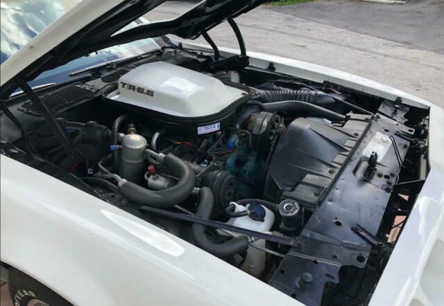 1979 Pontiac Trans Am ws6 - photo 11
