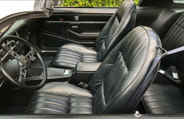 1979 Pontiac Trans Am ws6 - photo 6