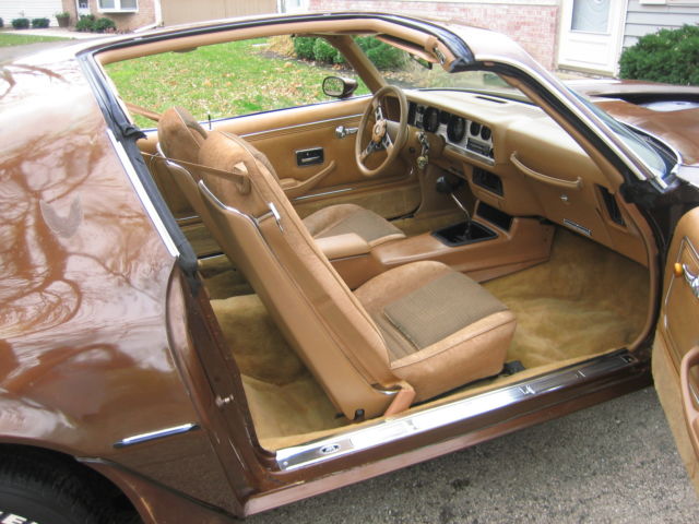 1979 Pontiac Trans Am - photo 11