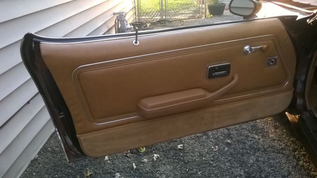 1979 Pontiac Trans Am - photo 12
