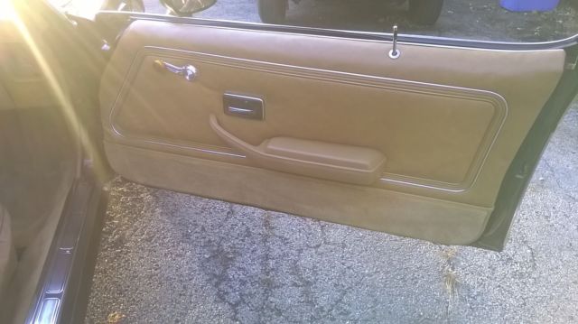 1979 Pontiac Trans Am - photo 13