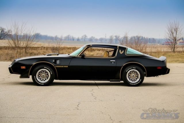 1979 Pontiac Firebird - photo 11