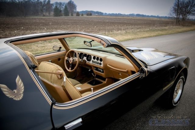 1979 Pontiac Firebird - photo 12