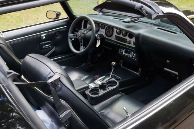 1979 Pontiac Firebird WS 6 - photo 10