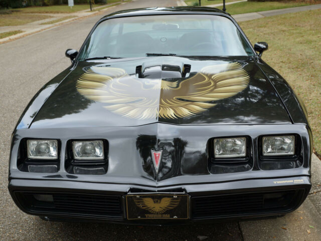 1979 Pontiac Firebird WS 6 - photo 11