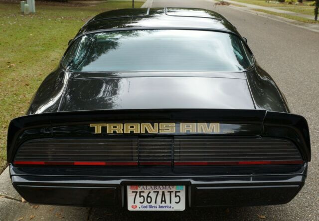 1979 Pontiac Firebird WS 6 - photo 7