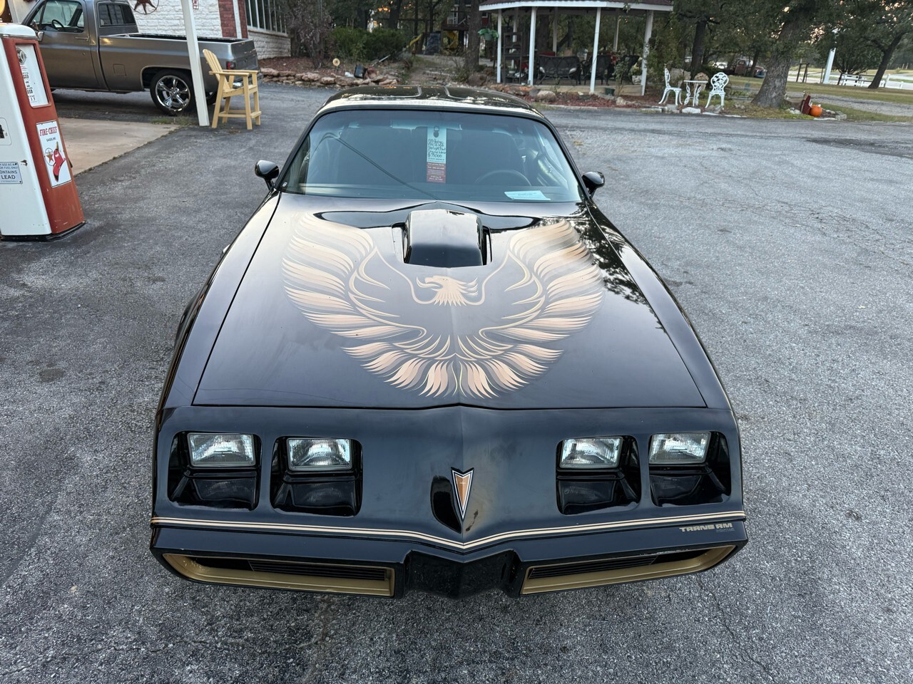 1979 Pontiac Trans Am SE Y84 Z code 400/4speed WS6 Bandit - photo 7