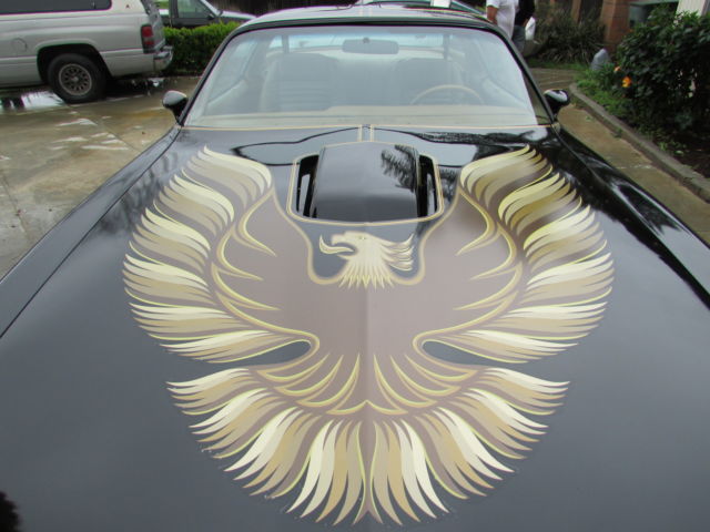 1979 Pontiac Firebird Trans am Y84 Special Edition 1979 Pontiac Firebird