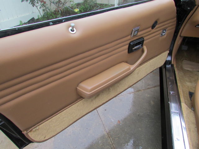 1979 Pontiac Firebird - photo 10