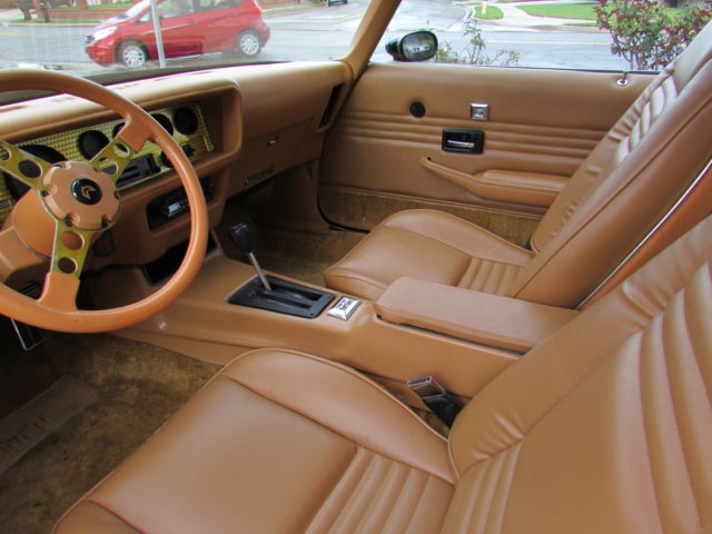 1979 Pontiac Firebird - photo 13