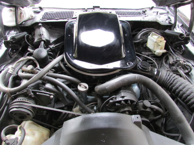 1979 Pontiac Firebird - photo 2