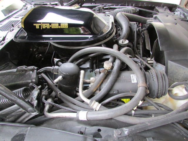 1979 Pontiac Firebird - photo 3