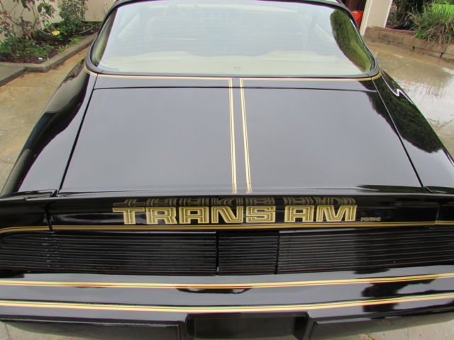 1979 Pontiac Firebird - photo 9