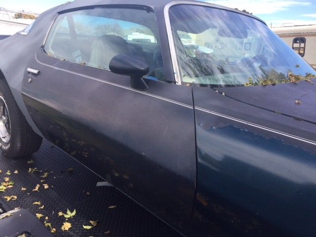 1979 Pontiac Firebird - photo 4