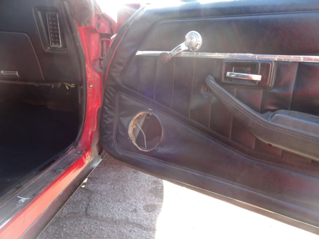 1979 Pontiac Firebird COUPE - photo 13