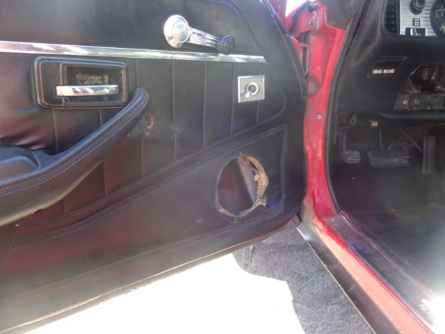 1979 Pontiac Firebird COUPE - photo 9