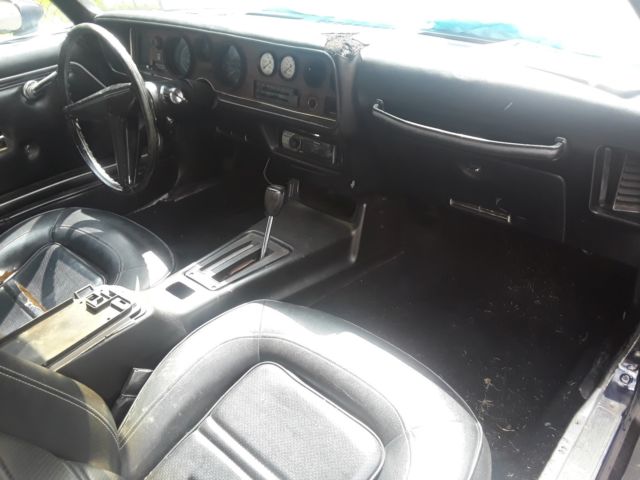 1979 Pontiac Firebird - photo 9