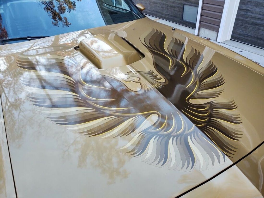 1979 Pontiac Trans Am - photo 12