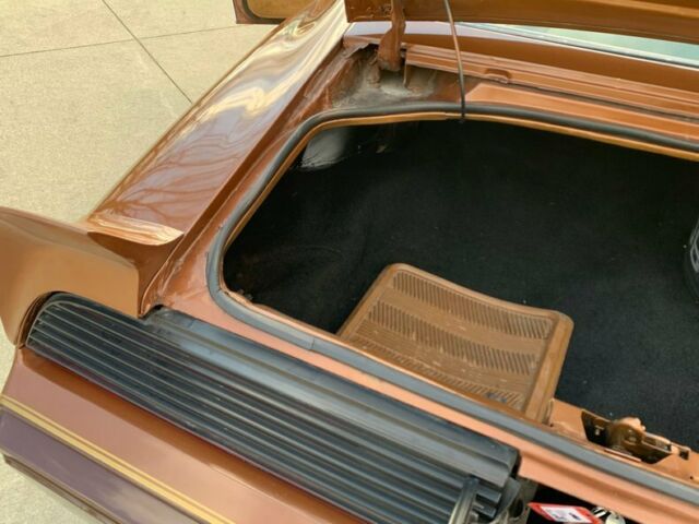 1979 Pontiac Firebird -- - photo 12