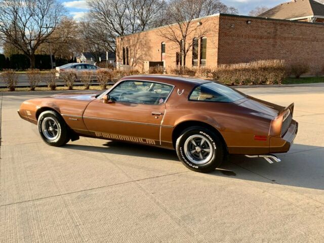 1979 Pontiac Firebird - photo 9