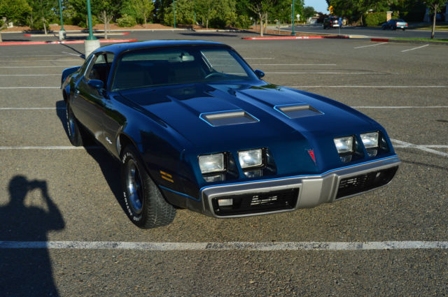 1979 Pontiac Firebird - photo 10