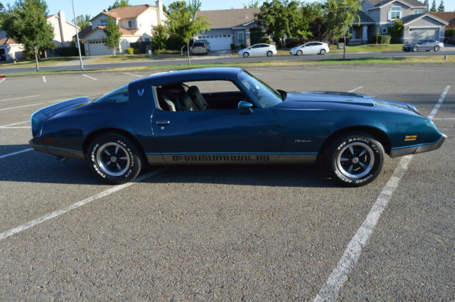 1979 Pontiac Firebird - photo 8