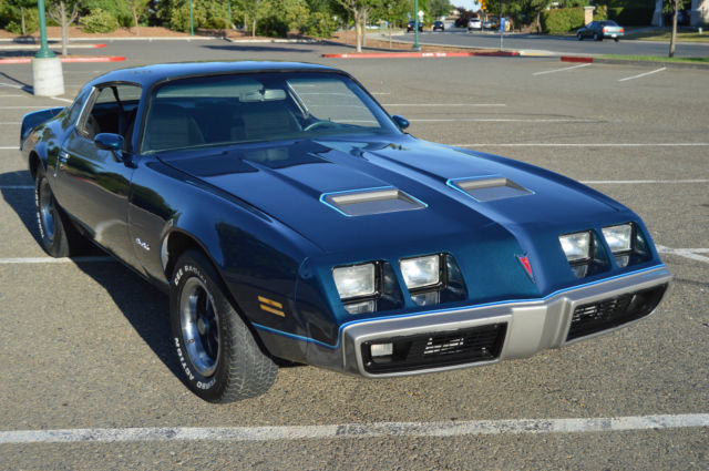 1979 Pontiac Firebird - photo 9