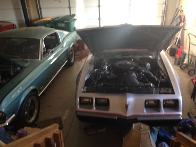 1979 Pontiac Firebird Formula - photo 13