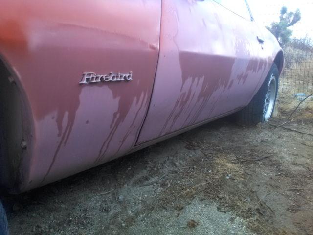 1979 Pontiac Firebird - photo 10