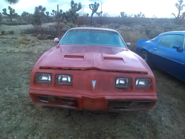 1979 Pontiac Firebird - photo 2