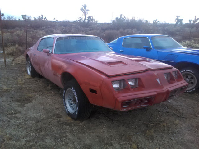 1979 Pontiac Firebird - photo 3