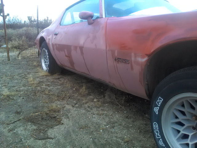 1979 Pontiac Firebird - photo 4