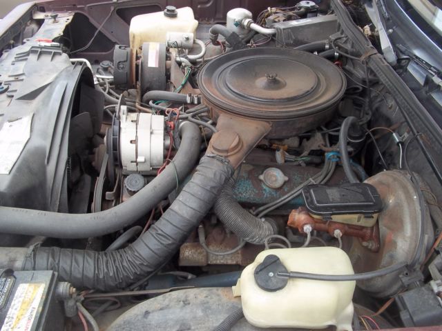 1979 Pontiac Grand Am - photo 13