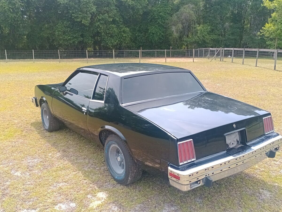 1979 Pontiac Grand Prix - photo 12