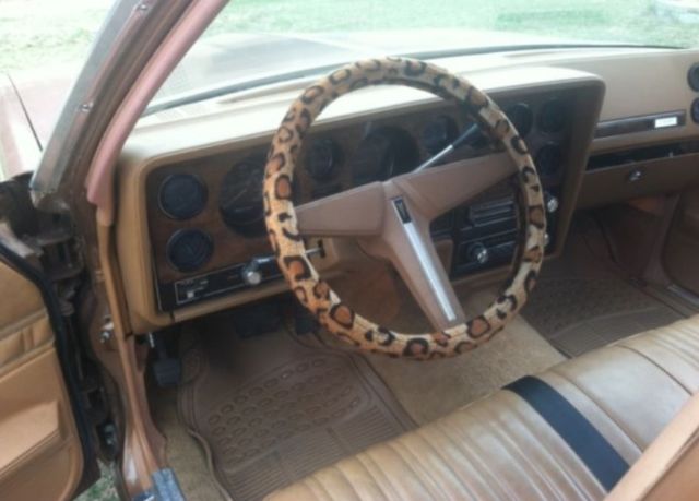 1979 Pontiac Le Mans Safari Wagon - photo 9